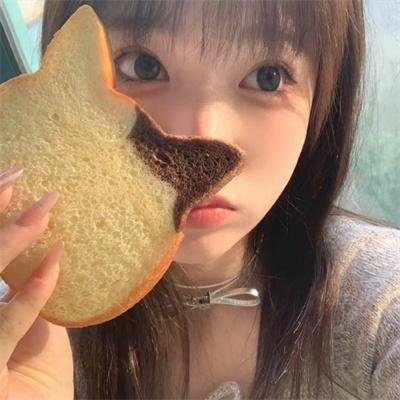 加菲猫和他的朋友们第七季